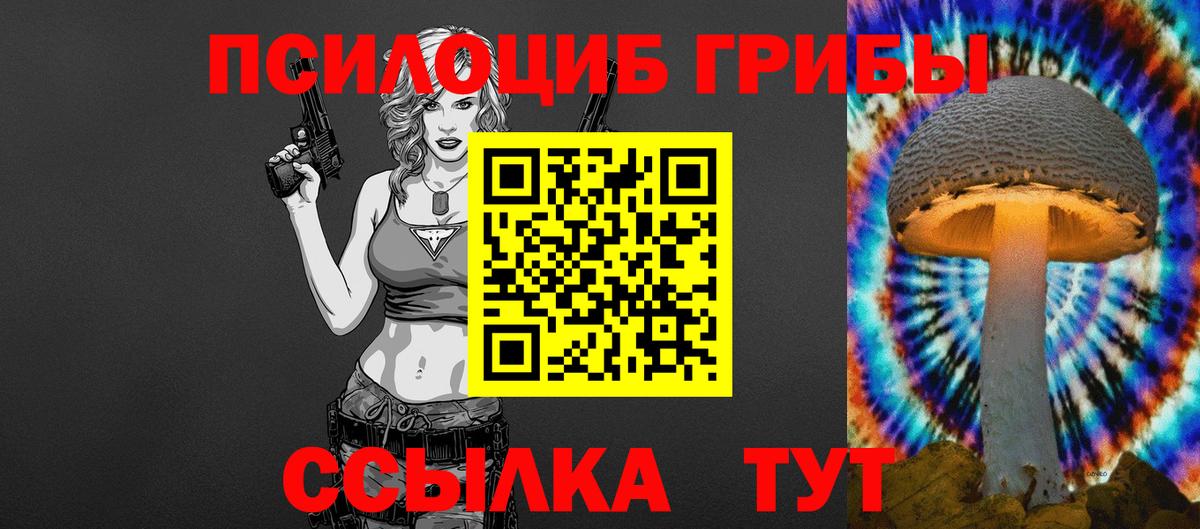 Псилоцибиновые грибы Psilocybine cubensis  Вход с VPN  Ставрополь  Галлюциногенные грибы Psilocybe 
