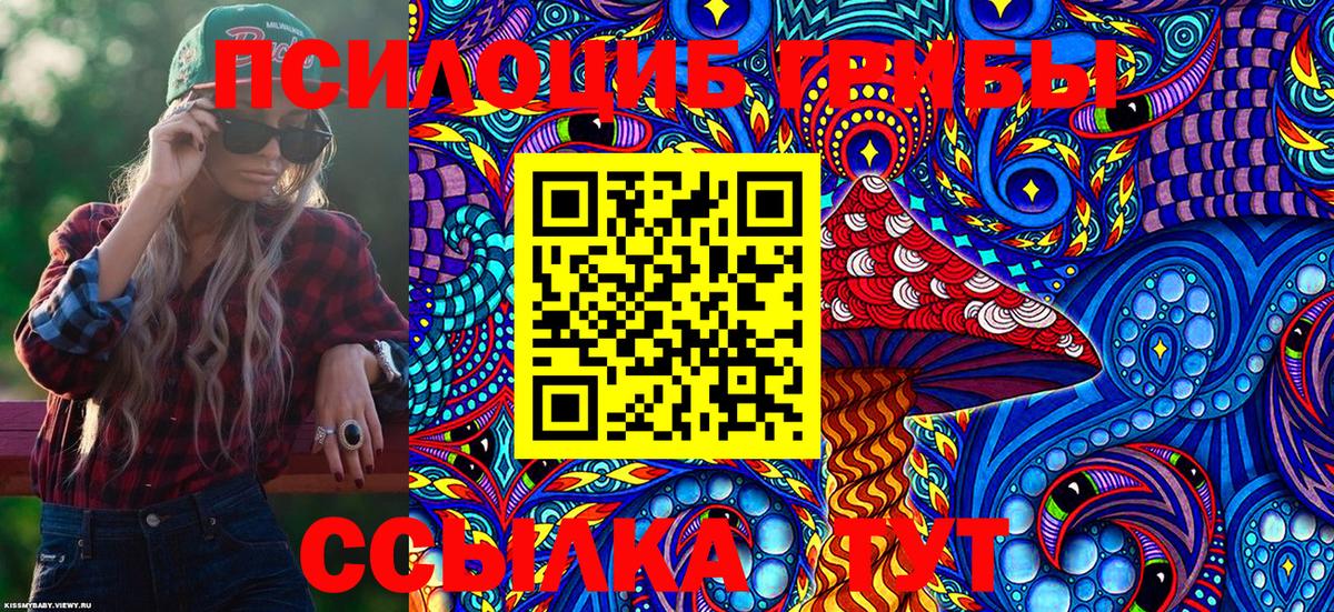 Галлюциногенные грибы Cubensis Ставрополь